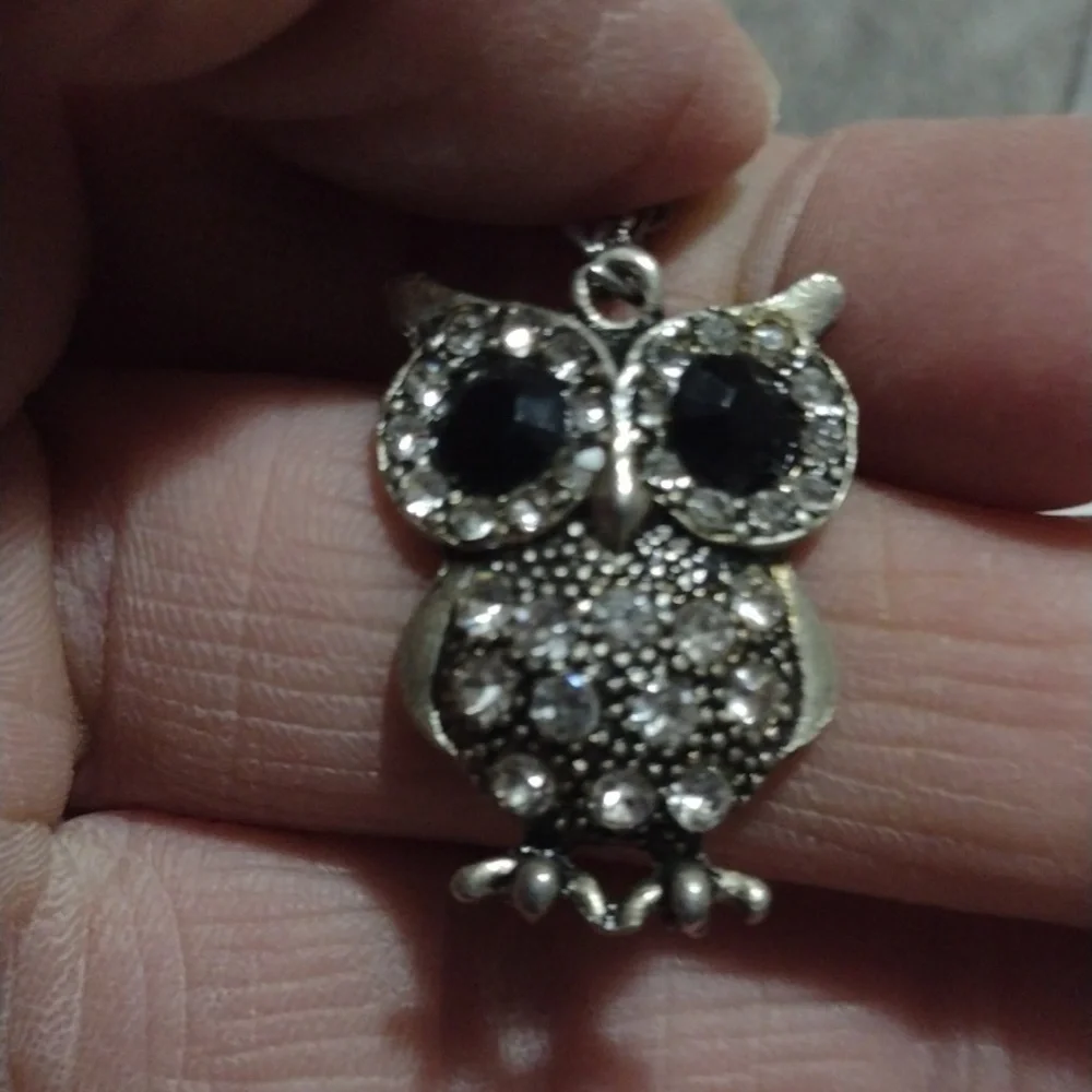 AEROPOSTALE BRASS-TONE OWL AND UNBRANDED SILVER-TONE OWL PENDANT NECKLACES